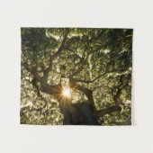 Tenture Auvent Sunstar de banian (Devant (Horizontal))