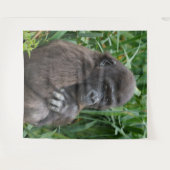 Tenture Baby Gorilla (Devant (Horizontal))