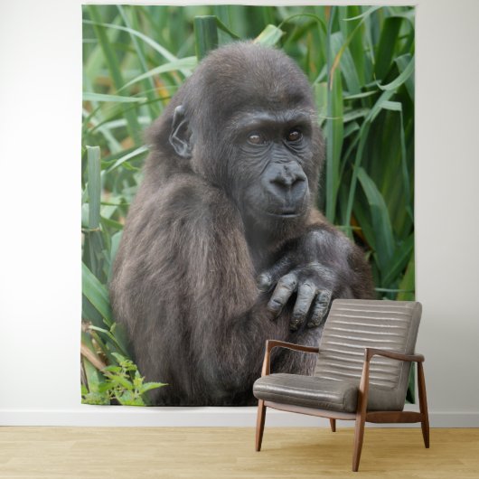 Tenture Baby Gorilla (En situation)