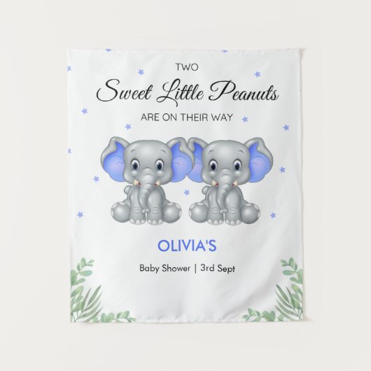 Tenture Baby shower Elephant Blue Twin Boys (Devant)