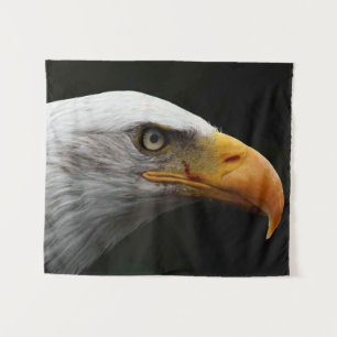Tenture Bald Eagle wtcnm