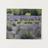 Tenture Banc au milieu d'un champ de lavande (Devant (Horizontal))