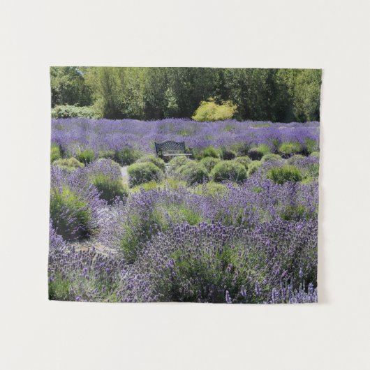 Tenture Banc au milieu d'un champ de lavande (Devant (Horizontal))