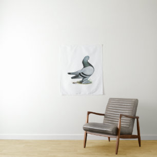 Tenture Barre Bleue Berliner Tumbler Pigeon
