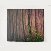 Tenture beau bois ancien (Devant (Horizontal))