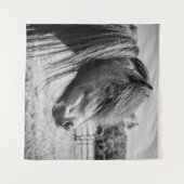 TENTURE BEAU CHEVAL (Devant (Horizontal))