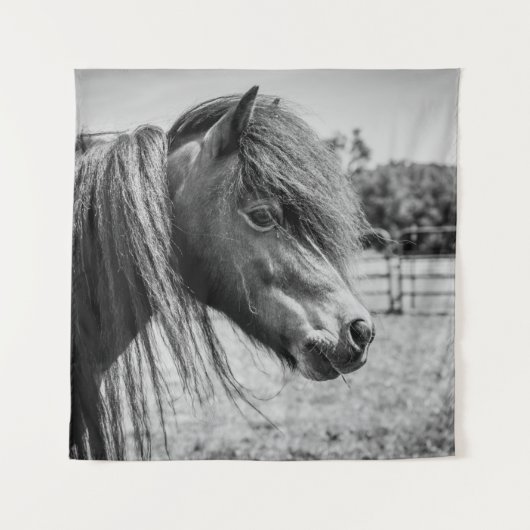 TENTURE BEAU CHEVAL (Devant)