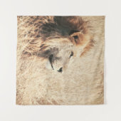 TENTURE BEAU LION (Devant (Horizontal))