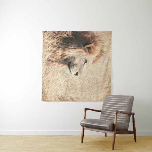 TENTURE BEAU LION (En situation (horizontale))
