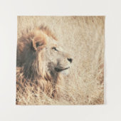 TENTURE BEAU LION (Devant)