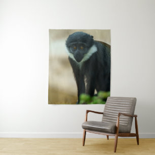 Tenture Bébé L’Hoest Monkey