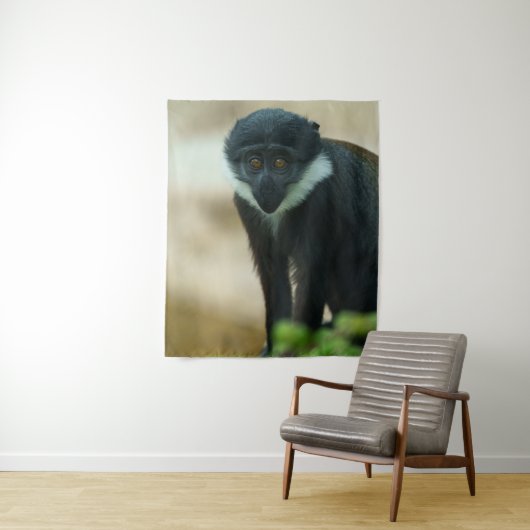 Tenture Bébé L’Hoest Monkey (En situation)