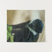 Tenture Bébé L’Hoest Monkey (Devant (Horizontal))