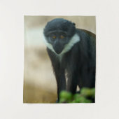 Tenture Bébé L’Hoest Monkey (Devant)