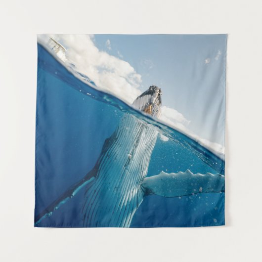 Tenture Belle Grosse Baleine (Devant)