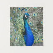 Tenture Belles plumes de paon bleu (Devant)