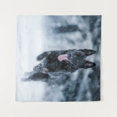 Tenture Berger allemand noir dans la couverture de duvet d (Devant (Horizontal))