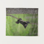 Tenture Black Bear Cub jouant sur le membre de l'arbre (Devant (Horizontal))