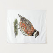 Tenture Bobwhite Quail (Devant (Horizontal))