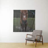 TENTURE BONJOUR JE SUIS UN CHEVAL (En situation)