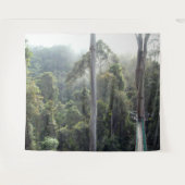 Tenture Borneo Ranforest Jungle Canopy Paysage Contexte (Devant (Horizontal))