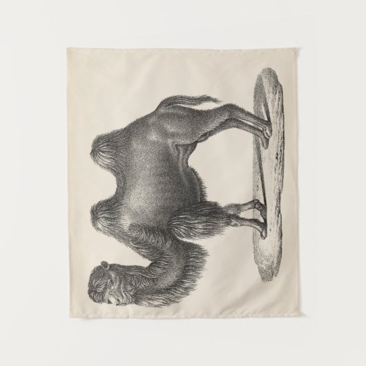 Tenture Brodtmann Camel Sketch (Devant)