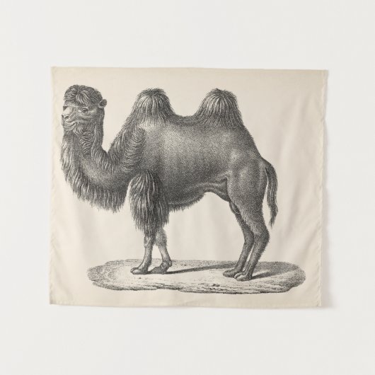 Tenture Brodtmann Camel Sketch (Devant (Horizontal))