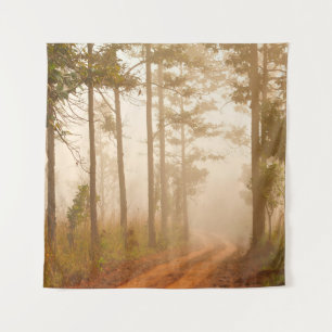 Tenture Brouillard dans la forêt de pins, beau, noir, fonc