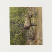 Tenture Bull Elk | Au parc national de Yellowstone (Devant)