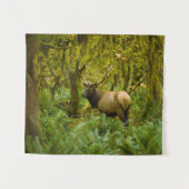 Tenture Bull Roosevelt Elk (Devant (Horizontal))