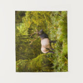 Tenture Bull Roosevelt Elk Debout Dans Le Pré (Devant)