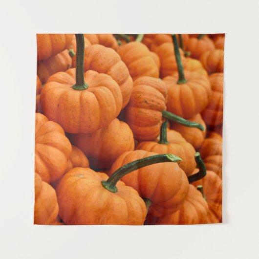 TENTURE BUNCH DU CITROUILLE (Devant)