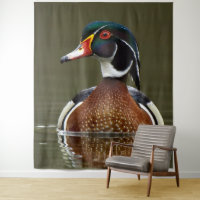 Canard à bois sur l'eau