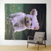 Tenture Caniche blanc courant Chien mignon (En situation (horizontale))