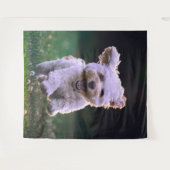 Tenture Caniche blanc courant Chien mignon (Devant (Horizontal))