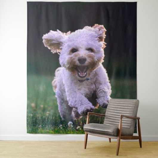 Tenture Caniche blanc courant Chien mignon (En situation)