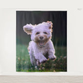 Tenture Caniche blanc courant Chien mignon (Devant)