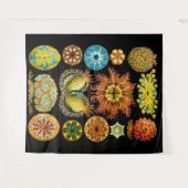 Tenture carte des créatures marines (Devant (Horizontal))