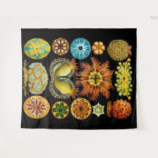 Tenture carte des créatures marines (Devant (Horizontal))