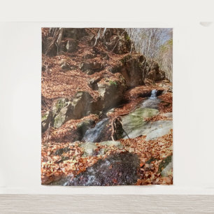 Tenture Cascade de Montagne - Nature Sauvage Roumanie