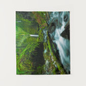 Tenture Cascades | Grotto Falls, Oregon (Devant)