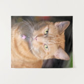 Tenture Cat (Devant (Horizontal))