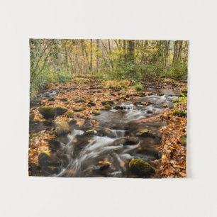 Tenture Cataloochee Creek NC Great Smoky Mountains