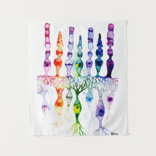 Tenture Cellules cônes cellules tiges et neurone bipolaire