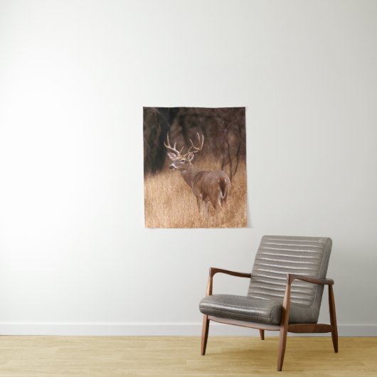 Tenture Cerf à queue blanche | Choke Canyon State Park, TX (En situation)