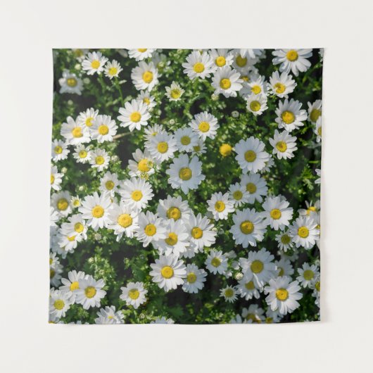 Tenture Champ de marguerite du printemps : Arrière - plan (Devant)