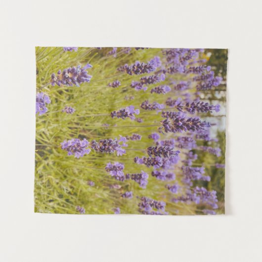 Tenture Champ Lavender (Devant (Horizontal))