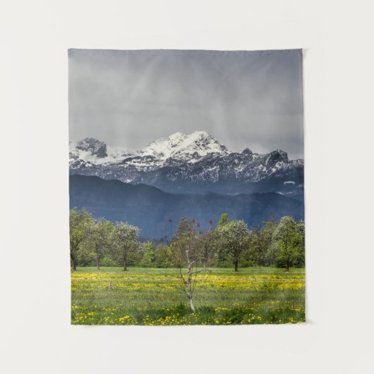 Tenture Champ vert avec alpes neigeuses (Devant)