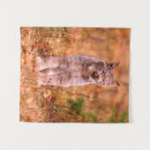Tenture Chasse Bobcat | Forêt d'automne (Devant (Horizontal))