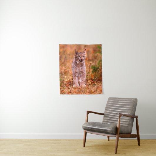 Tenture Chasse Bobcat | Forêt d'automne (En situation)